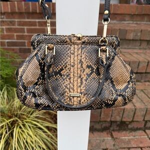 Brahmin Coffee Felix Mini Layla Satchel genuine Italian leather python Handbag